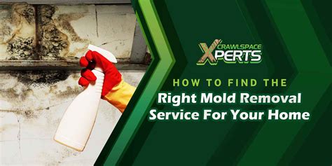 How To Find The Right Mold Removal Service For Your Home