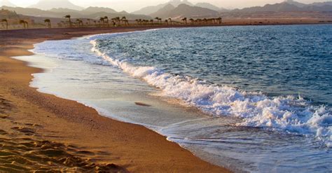 Красное море: где находится, описание и характеристики, особенности