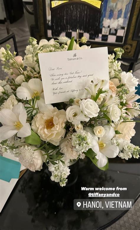 Hot Rosé BLACKPINK khoe dáng quyến rũ tại Việt Nam cùng Jisoo trước giờ G concert Hà Nội