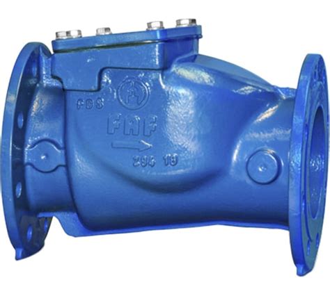 Обратный клапан FAF 2270 ду250 ру16 поворотный фланцевый D100-00505 ...