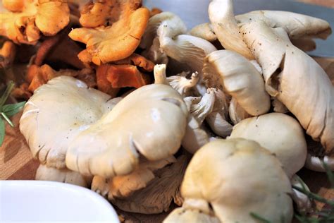 How to clean mushrooms (VIDEO)