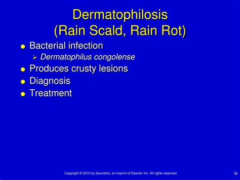 equine medicine common diseases  treatment guidelines