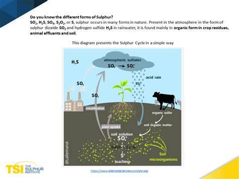 Additional Resources - The Sulphur Institute