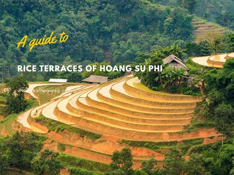 Uncover The Picturesque Rice Terraces Of Hoang Su Phi