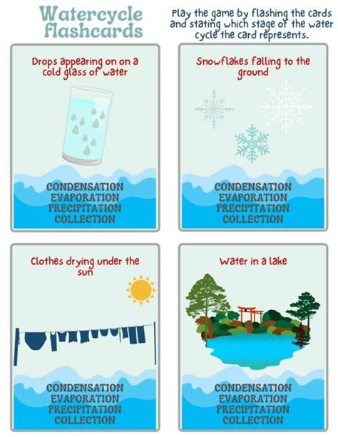 Evaporation Examples For Kids