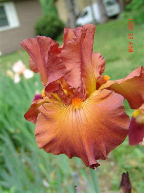 Bham news obits records help preserve the history of the city 31