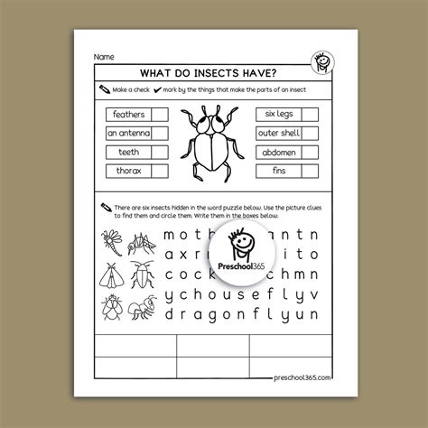 I See A Bug Science Activity Packet 14pages Worksheets Library