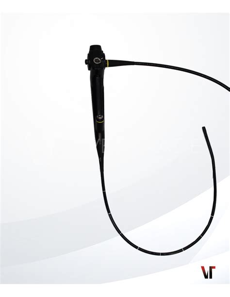 bronchoscope vet trade
