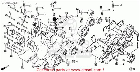 Oil Seal28x40x8 For Trx250r Fourtrax 250r 1986 G Usa Order At Cmsnl