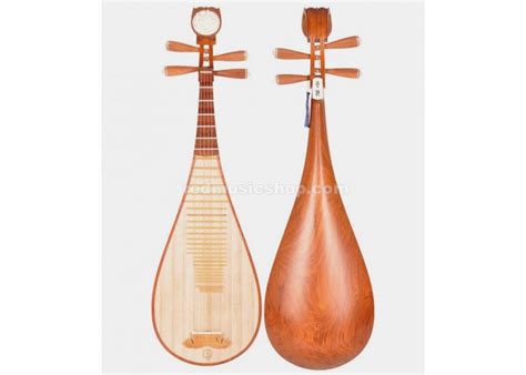 Xinghai concert grade rosewood Pipa,Chinese Pipa lute - Red Music Shop