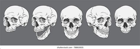 Best Evil Skull Drawing Royalty Free Images Stock Photos Pictures