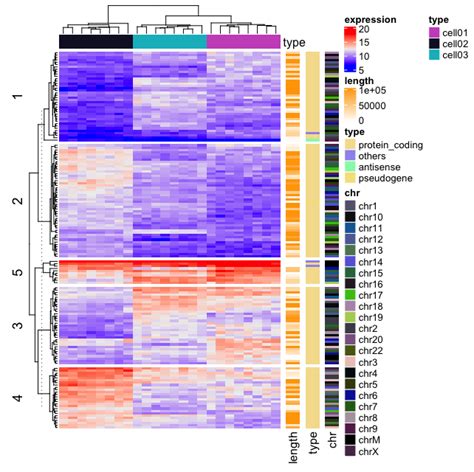 Gene Expression Heat Map