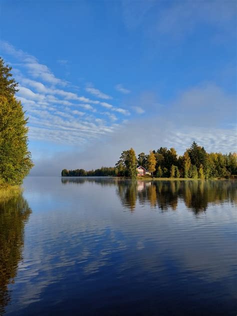 Luontokoulu toivottaa hyvää joulua ja onnellista uutta vuotta