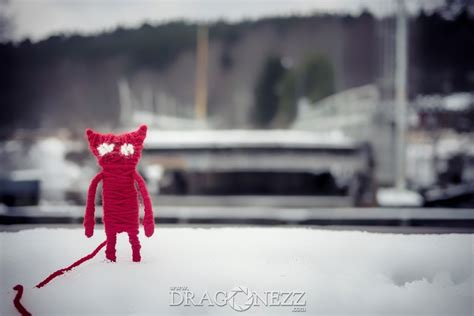 Yarny – A Day Out : Dragonezz