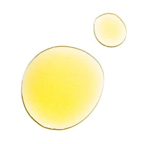 30 Honey Blonde Hair Ideas to Revamp Your Style - Hair Adviser | Oval