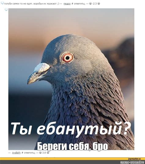 Мем: "Береги себя, бро" - Все шаблоны - Meme-arsenal.com