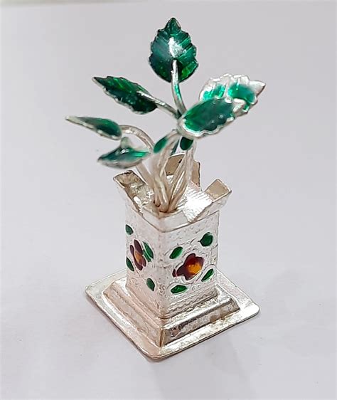 13 Rosary Bead Plant Nahummuzamal