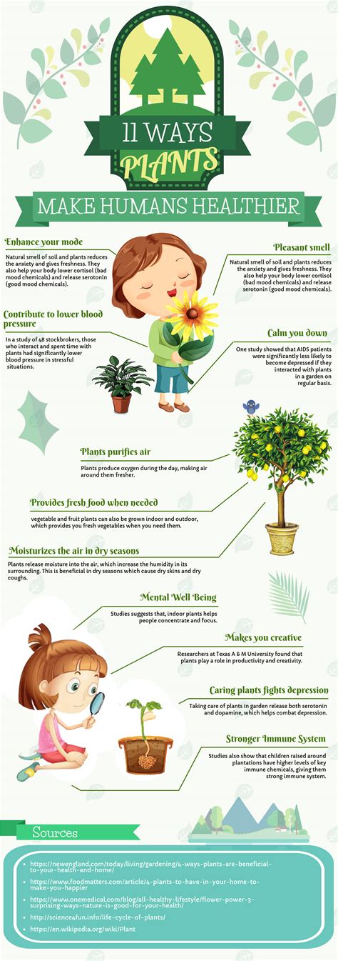 11 WAYS PLANTS MAKE HUMAN HEALTHIER [INFOGRAPHIC] - Science4Fun