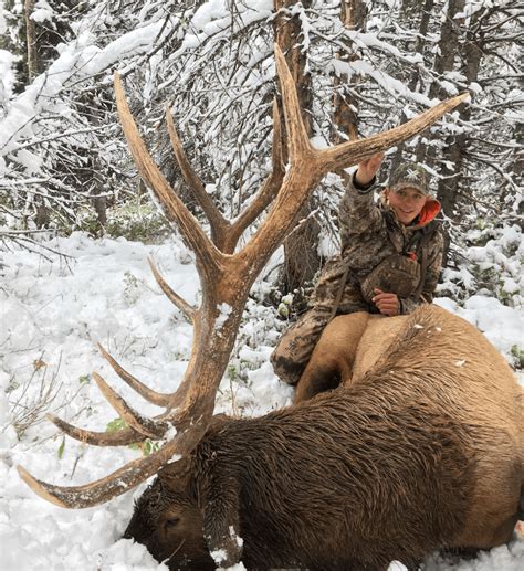 Wyoming Elk Season Dates 2025 Debi Sharona