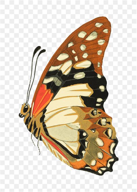 Hentai Images Free Photos PNG Stickers Wallpapers Backgrounds Rawpixel