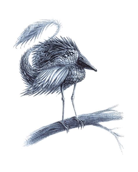 The Strange Bird 3