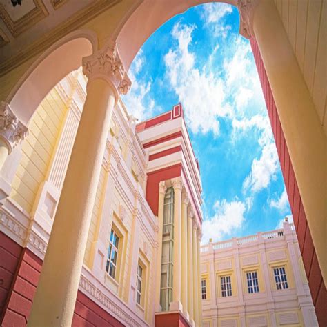 The British University In Egypt Bue