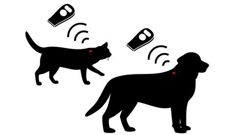 How Does Pet Microchipping Work