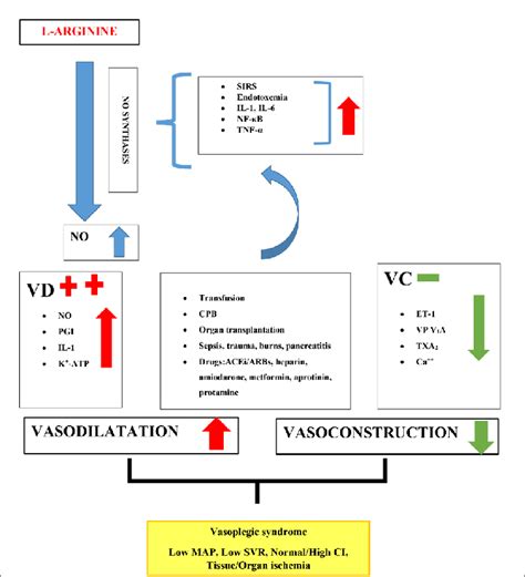 The basic pathogenesis of vasoplegic syndrome. | Download Scientific ...