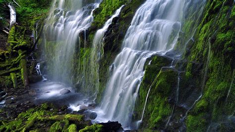 Go McKenzie River | Waterfalls | Eugene, Cascades & Oregon Coast