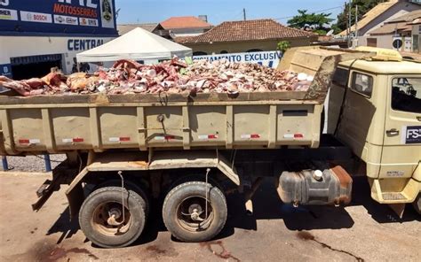 Operação apreende mais de 12 toneladas de carnes impróprias para