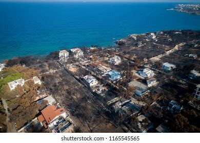 2,306 Maties Images, Stock Photos & Vectors | Shutterstock