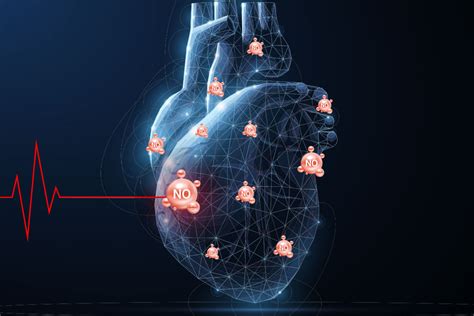 The 4 Major Ways Nitric Oxide Enhances Cardiovascular Wellness