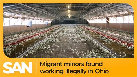 Over Two Dozen Migrant Minors Found Working Illegally In Ohio Poultry