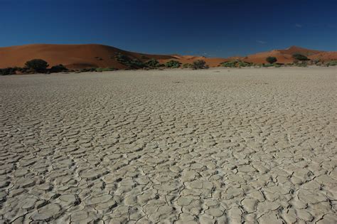 Mystery Behind Fairy Circles Of The Namib Desert Fairy Circle