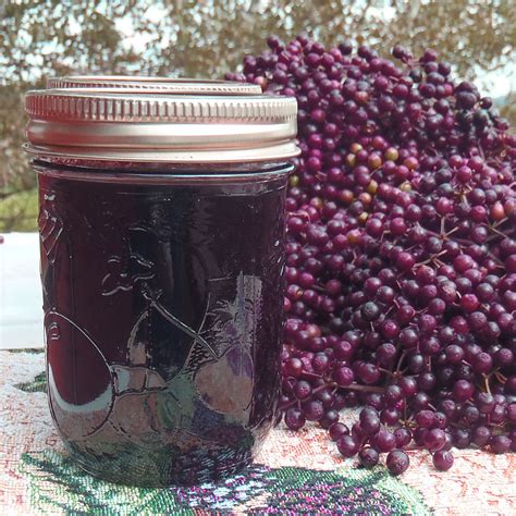 Elderberry Jelly Recipe Using Certo | Besto Blog