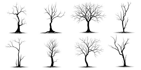 Black Branch Tree Or Naked Trees Silhouettes Set Hand Drawn Isolated
