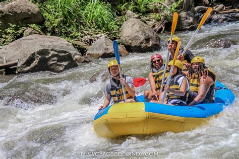 Que Faire Ubud Activit S Nature Et D Tente Les Voyages De