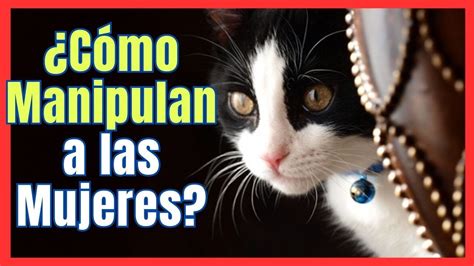 ES CIERTO QUE LOS GATOS MANIPULAN A LAS MUJERES YouTube