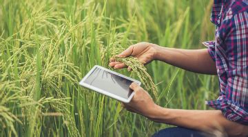 Quanto Ganha Um Agrônomo - Quanto ganha um Engenheiro Agrônomo? (Salário 2025)