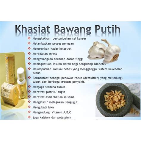 Khasiat Blackmores Garlic Oil Amugeona Web