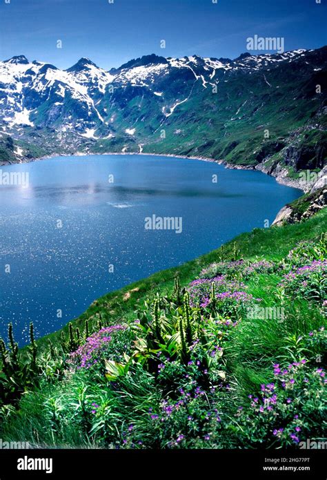 Alpi Del Gottardo Immagini E Fotografie Stock Ad Alta Risoluzione Alamy