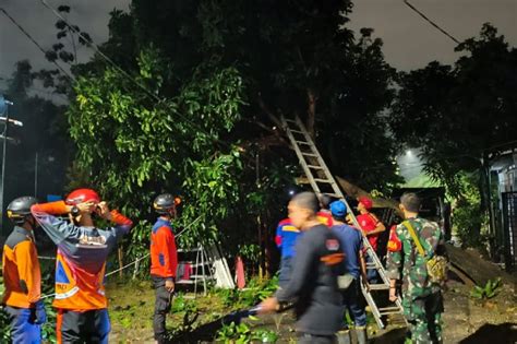 Serpong Diterjang Hujan Angin Pohon Tumbang Tutup Akses Jalan Warga