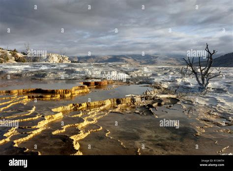 Travertine Terraces At Mammoth Hot Springs Hi Res Stock Photography And