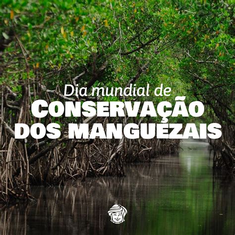 Dia Mundial De Conserva O Dos Manguezais