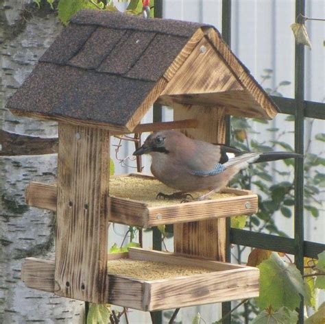 15 уникальных кормушек для птиц, которые вы ещё не видели