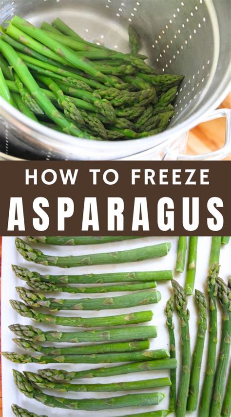 How To Freeze Fresh Asparagus For Winter Eating • A Traditional Life