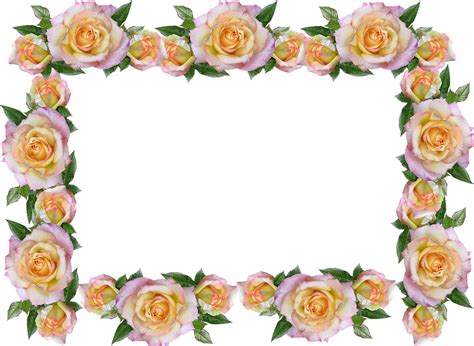 Transparent White Rose Border Png Gudang Gambar Vector Png