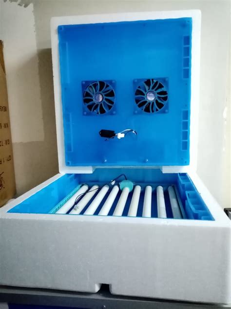 Choosing the right egg incubator - Egg Incubator Kenya