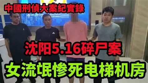 中国刑侦大案纪实录，沈阳5 16碎尸案，女流氓惨死电梯机房，沈阳“太原街二号”女尸案侦破始末 Youtube