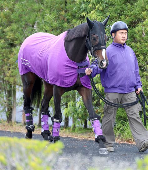 【エリザベス女王杯】昨年3着ハーパーは7枠14番 友道調教師は馬場状態を考慮し「外枠が良いと思う」 Umatoku 馬トク